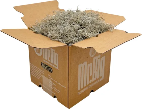 Quality Growers - Mr. Big Fresh Spanish Moss (The Plumper Spanish Moss) - Manualidades, decoración del hogar, proyectos de arte, diseño y bricolaje