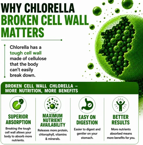 Miniatura 4 de Chlorella Cápsulas 3000 mg – Pared celular agrietada suplemento de algas verdes azules – La mejor limpieza natural de desintoxicación – Vitaminas