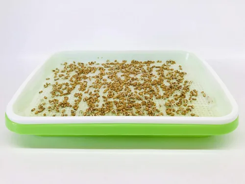 Miniatura 4 de Paquete de 150 piezas de papel germinante de cultivo germinante, germinación de microgreens vegetales, papel de siembra de 7.8 x 11.4 pulgadas. Apto