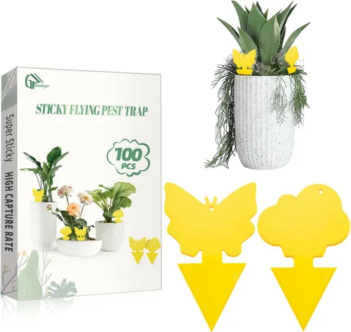 Miniatura 11 de 36 piezas de trampas adhesivas clásicas para mosquitos del hongo (plantas), moscas de la fruta, mosca blanca y mosca, trampas adhesivas amarillas 36
