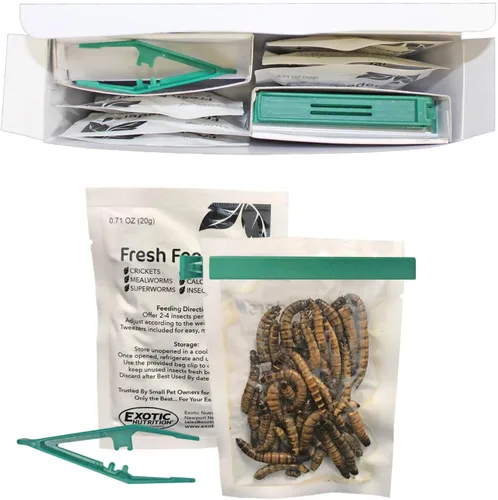 Miniatura 3 de Fresh Feeders (Superworms) - Golosinas naturales de insectos con alto contenido de proteínas, bolsas de una sola porción - pollos, aves silvestres