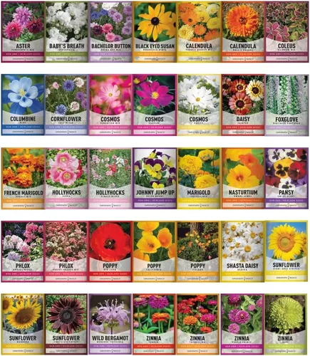 Miniatura 2 de Gardeners Basics, paquetes de semillas de flores para plantar 35 variedades individuales perennes, anuales, semillas de flores silvestres