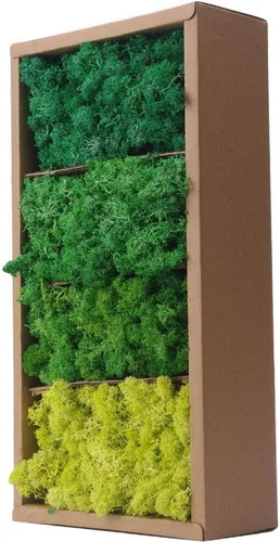 Miniatura 22 de Musgo preservado, musgo de 3.5 onzas para manualidades, decoración de musgo sintético, musgo verde natural para decoración de pared de floristería