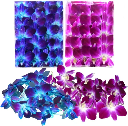 Miniatura 9 de Miami Fresh Orchid Flower OrchidClub USA Sunne Tropical Loose Bloom DIY Lei, decoración de alimentos y bebidas (50 amarillos)