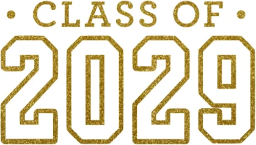 Class of 2029 Iron On Decal, Senior Class Shirt Patch, Heat Transfer, HTV Graphic Tshirt Sticker, DIY Crafts, Pick Size Color, Iron-On Almost Old