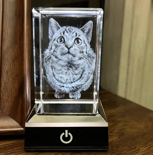 Miniatura 5 de Foto de cristal 3D personalizada, regalos conmemorativos para perros y gatos personalizados para dueños de mascotas. Caja de regalo incluida, foto