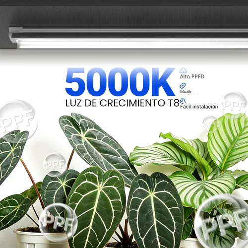 Miniatura 6 de Barrina Luces de Crecimiento, Lámparas de Crecimiento de Plantas de Espectro Completo Blancas de 2FT 5000K, 144W (6 x 24W, Equivalente a 800W)