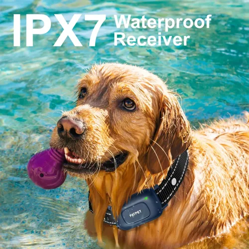 Miniatura 3 de PATPET Collar de entrenamiento para perros con control remoto, collar de choque impermeable IPX7 de 2000 pies, 4 modos