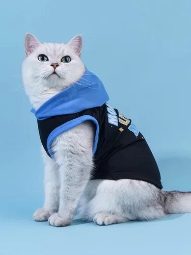 Miniatura 2 de QWINEE Camiseta sin mangas con capucha para perro con estampado de letras para gatos y cachorros, chaleco sin mangas para perro, ropa elástica