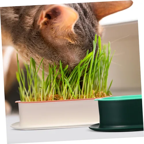 Miniatura 2 de IMIKEYA Caja de plantación hidropónica para gatos de interior, bandeja de cultivo de plástico, maceta para plantas de vivero, contenedores pequeños