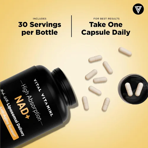 Miniatura 7 de Vital Vitamins Suplemento NAD - NAD+ (dinucleótido de nicotinamida y adenina) para hombres y mujeres - Fabricado con entrega liposomal - Soporte