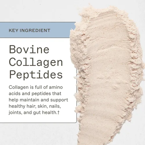 Miniatura 6 de Amy Myers MD Paleo Proteína en polvo – Fresas y crema, 20 porciones – Apoyo a la función intestinal a base de colágeno – Suplemento de proteína sin