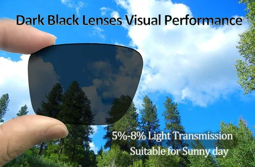 Miniatura 3 de Lentes polarizadas de repuesto para gafas de sol Oakley Holston OO9334