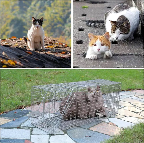 Miniatura 3 de Paquete de 2 trampas para gatos H&B, trampas humanitarias para gatos salvajes, jaula de trampa para animales vivos, 32 x 12 x 10 pulgadas, trampa