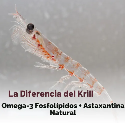 Miniatura 5 de Micro Ingredients Aceite de krill antártico 1,000 mg por porción, 300 cápsulas blandas Omega-3 EPA y DHA con fosfolípidos y astaxantina natural