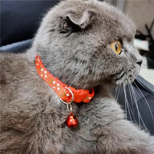 Miniatura 6 de Collar reflectante para gato, 5 collares de gato separables con lunas de campana, estrellas, lindo gatito, ajustable, de 7.5 a 12.5 pulgadas