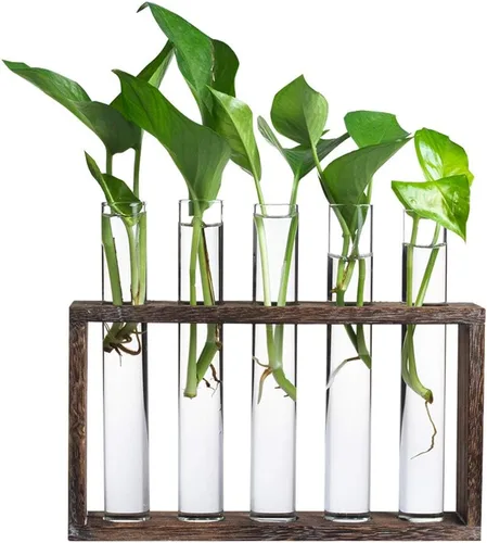 Miniatura 2 de Estación de propagación de plantas de madera de 5 tubos, soporte de terrario de vidrio de mesa para esquejes hidroponía, decoración de escritorio