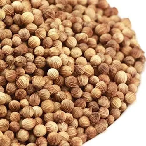 Miniatura 2 de Semillas de cilantro - 50 semillas sin OMG