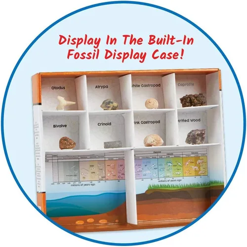 Miniatura 7 de hand2mind - Kit de excavación de fósiles para excavar y exhibir, vitrina de fósiles, 8 fósiles reales para descubrir, kits de excavación para niños