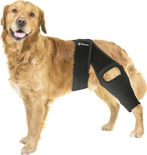 PetCove Rodillera para perro para pierna trasera de Acl desgarrada — Compresión de neopreno, estabilizadores de resorte, correa de soporte de banda