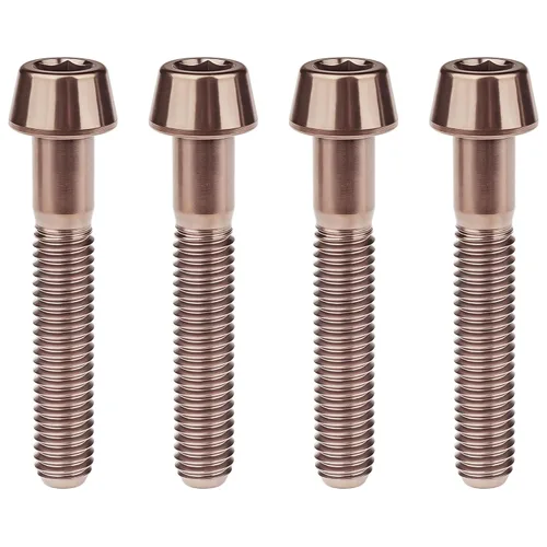 Miniatura 76 de Titanio Ti M6 x 10 16 18 20 25 30 35 40 45 50 55 60 2.559 in Allen - Tornillos hexagonales de 2.559 in, tornillos cónicos, paquete de 4
