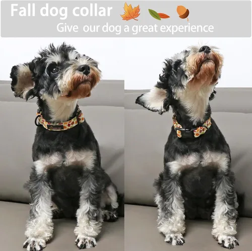 Miniatura 4 de Aring Pet Collar de algodón, ligero y ajustable, con hebilla de liberación rápida, para perros pequeños, medianos y grandes, otoño, hoja de arce