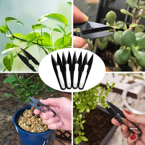 Miniatura 6 de Tijeras de podar bonsái, 5 piezas, tijeras de podar pequeñas, recortadoras de hojas de brote, tijeras de jardín para plantas, cortadoras