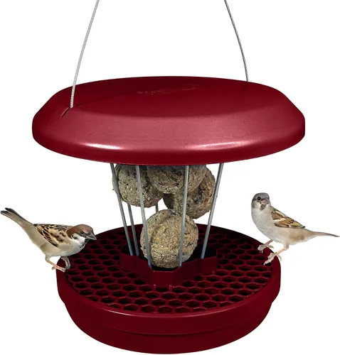 Miniatura 13 de SWISSINNO Comedero para pájaros – Comedero colgante para pájaros sin desorden para exteriores – Smart Birds Davos a prueba de derrames, cardenales