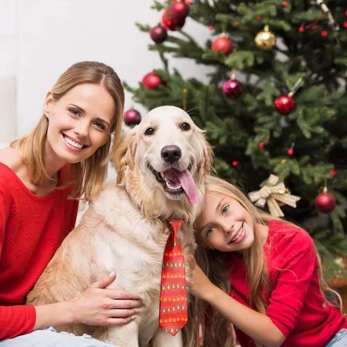 Miniatura 2 de Syhood 12 lazos grandes de Navidad para perros, corbatas grandes de Navidad para mascotas, árbol de Navidad, muñeco de nieve, copo de nieve