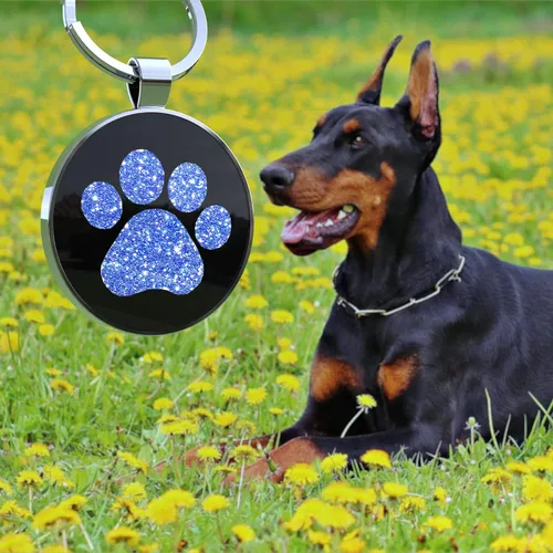 Miniatura 2 de Etiquetas de perro QR personalizadas para mascotas, etiquetas de identificación de código QR, etiquetas de identificación de mascotas inteligentes