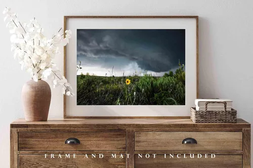 Miniatura 4 de Storm Photography Print (Not Framed) Picture of Thunderstorm Passing Behind Wild Sunflower on Spring Day in Texas Flower Wall Art Nature Decor