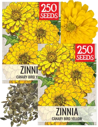 Miniatura 9 de Seed Needs California Giants - Semillas de zinnia – 250 semillas tradicionales para plantar Zinnia elegans – Cultiva flores anuales polinizadas