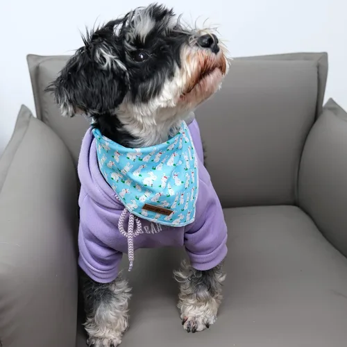 Miniatura 3 de lionet paws Bandana de conejo de Pascua para perros pequeños, medianos y grandes, pañuelo triangular para perros y gatos, bufanda para niñas y niños