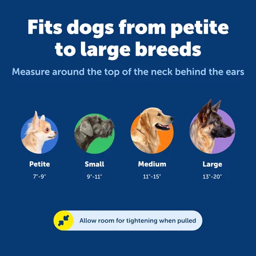 Miniatura 5 de Collar de la martingala de PetSafe Petite con hebilla rápida instantánea, Púrpura profundo