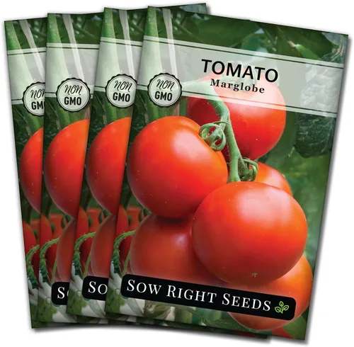 Miniatura 9 de Sow Right Seeds - Semillas de tomate Marglobe para plantar - Paquete de reliquia sin OMG con instrucciones para plantar y cultivar un huerto casero