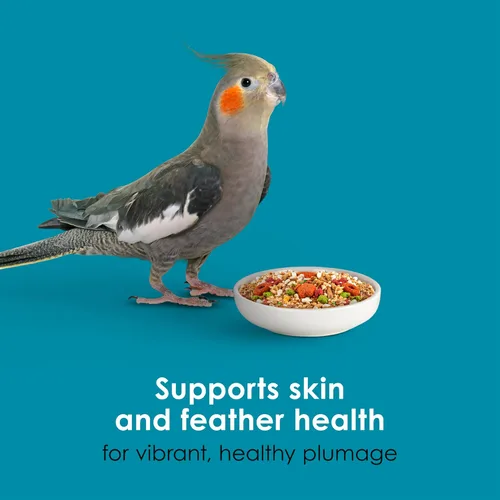 Miniatura 8 de Kaytee Forti-Diet Pro Salud+Nourish+Protect alimento para periquitos, apoya la cría y la muda, nutrición respaldada por la ciencia, salud digestiva