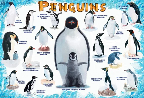 Miniatura 2 de Pingüinos - Rompecabezas de 100 piezas