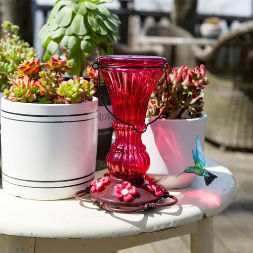 Miniatura 6 de Comedero de vidrio para colibríes, alimentador de néctar de pájaros salvajes rojos para colgar al aire libre, a prueba de fugas, 20 onzas con 5
