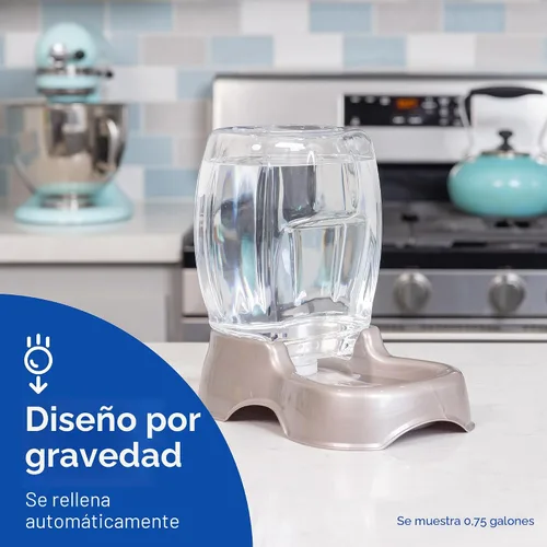 Miniatura 2 de Petmate Pet Cafe Dispensador de agua para gatos y perros, cuenco de agua extra pequeño para gatitos y cachorros, fabricado en Estados Unidos, 0.25