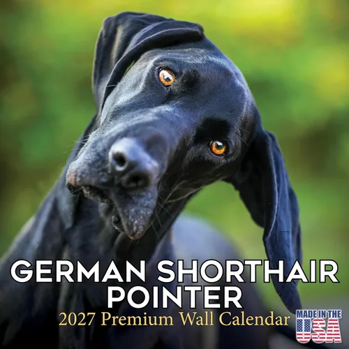 Miniatura 64 de Calendario 2025 2026 de cachorros Cocker Spaniel - Calendario mensual de pared de raza de perro - 12" x 24" abierto - Papel grueso sin sangrado