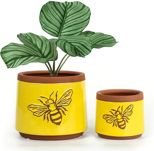 Miniatura 8 de Macetas de terracota con orificios de drenaje con decoración de abejas, macetas de cerámica para plantas de interior y exterior, suculentas