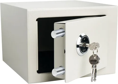 DreamsEden Pequeña caja de seguridad de acero con cerradura de llave, caja de seguridad de acero con llaves para documentos personales, dinero en