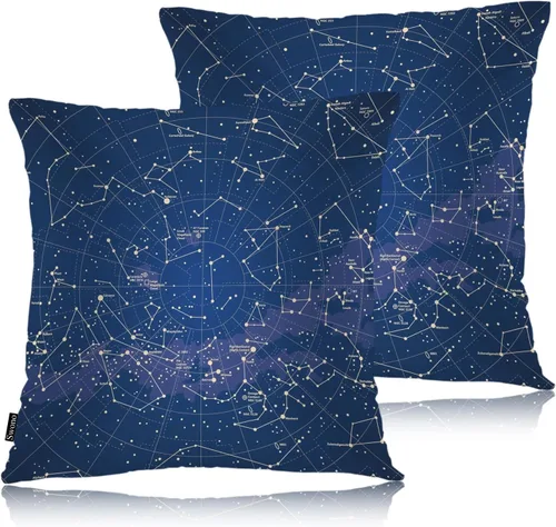 Miniatura 31 de Swono Juego de 2 fundas de almohada de 18 x 18 pulgadas, diseño floral abstracto, fundas de almohada decorativas para interiores y exteriores, sofá