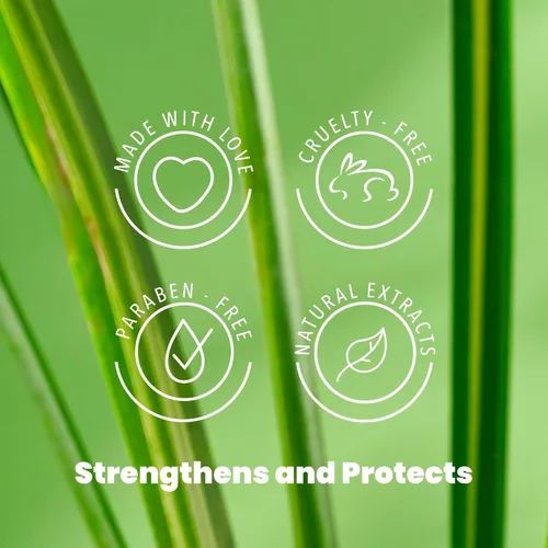 Miniatura 7 de ANYELUZ Champú capilar de aloe vera, limpiador de cuero cabelludo de limpieza profunda, fórmula de fortalecimiento de biotina, control de grasa
