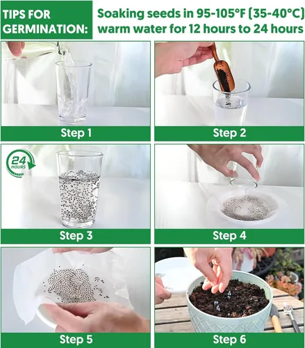 Miniatura 2 de Más de 20.000 semillas de lechuga, semillas de vegetales tradicionales para plantar en interiores y exteriores, 10 variedades de verduras frescas