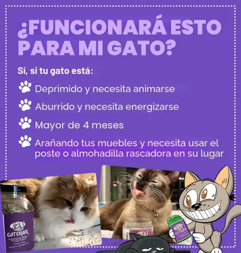 Miniatura 3 de Cat Crack Hierba Gatera, Mezcla de Hierba Gatera Inductora de Zoomies, Hecha en América del Norte y 100% Natural, Tratamientos de Hierba Gatera
