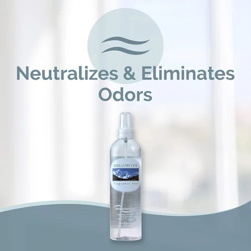 Miniatura 2 de SMELLS BEGONE Ambientador en aerosol – 12 onzas, paquete de 2 – Eliminador de olores – Elimina olores del humo, botes de basura, automóviles