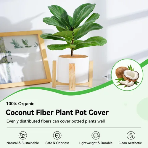 Miniatura 2 de ZeeDix Paquete de 3 anillos de mantillo de fibra de coco, 11.8 pulgadas de fibra de coco, tapete de mantillo de árbol de coco 100% natural, 3