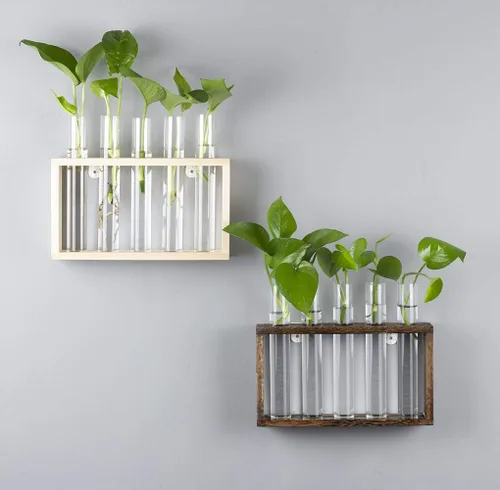 Miniatura 5 de Estación de propagación de plantas de madera de 5 tubos, soporte de terrario de vidrio de mesa para esquejes hidroponía, decoración de escritorio