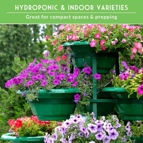 Miniatura 5 de Kit de semillas de jardín hidropónico e interior - 20 variedades compactas de verduras y hierbas tradicionales Apartamento, espacio pequeño, patio